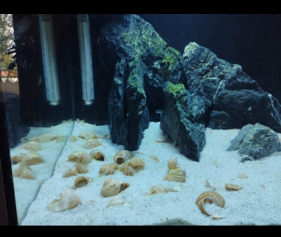 Screenshot_2023-05-01-19-01-13-113-edit_com.miui.gallery.jpg (172.36 KiB) Visto 8731 veces Foto 2