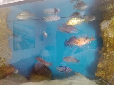 WhatsApp Image 2019-05-24 at 16.39.12.jpeg